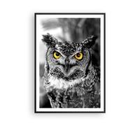 Affiche Poster 70x100cm Tableaux Image Photo Hibou oiseau nature Wall Art
