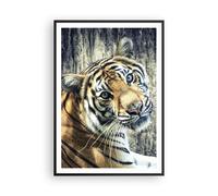 Affiche Poster 70x100cm Tableaux Image Photo Inde pierre tigre sauvage Wall Art