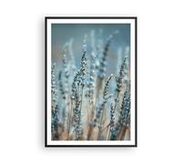 Affiche Poster 70x100cm Tableaux Image Photo Lavande Lame Fleur Wall Art