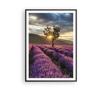 Affiche Poster 70x100cm Tableaux Image Photo lavande montagnes champ Wall Art