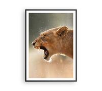 Affiche Poster 70x100cm Tableaux Image Photo Lion Lionne Crocs Wall Art