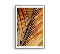Affiche Poster 70x100cm Tableaux Image Photo Orange Feuille Tropical Wall Art