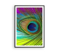Affiche Poster 70x100cm Tableaux Image Photo Paons Plume Arc En Ciel Wall Art