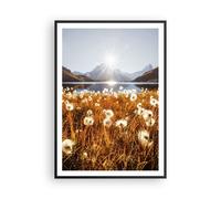 Affiche Poster 70x100cm Tableaux Image Photo Pissenlits Soleil Champ Wall Art