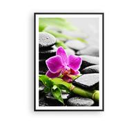 Affiche Poster 70x100cm Tableaux Image Photo Plante pierres bambous spa Wall Art