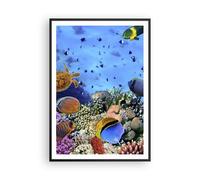 Affiche Poster 70x100cm Tableaux Image Photo Récif de corail Wall Art Decoration