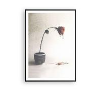 Affiche Poster 70x100cm Tableaux Image Photo Symbole Rose Souffrance Wall Art