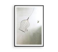 Affiche Poster 70x100cm Tableaux Image Photo Vol Oiseau Cage Wall Art Decoration