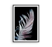 Affiche Poster 70x100cm Tableaux Image Plume Les Couleurs La Délicatesse Art
