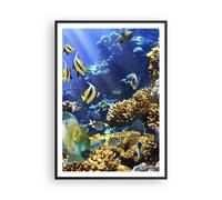 Affiche Poster 70x100cm Tableaux Image Récif corallien océan crabe poisson Art