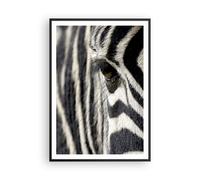 Affiche Poster 70x100cm Tableaux Image Zebra rayures vie sauvage safari Wall Art