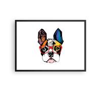 Affiche Poster 70x50cm Tableaux Image Chien Lunettes de vue coloré bouledogue