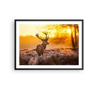 Affiche Poster 70x50cm Tableaux Image Photo Automne paysage nature feuille Art