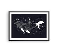 Deco Affiches Murales 70x50cm Affiche Decoration Murale Baleine Noir Et Blanc Graphiques Cuisine Wall Art Design Moderne Poster Cadre Noir Tableau Decoration Salon Chambre Decor P2BAA70x50-4870