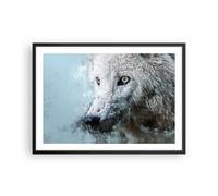 Affiche Poster 70x50cm Tableaux Image Photo Blanc Le Loup Image Wall Art