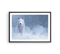 Affiche Poster 70x50cm Tableaux Image Photo Blanc Loup Neige Wall Art