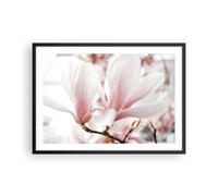 Affiche Poster 70x50cm Tableaux Image Photo Brindille Magnolia Fleur Wall Art