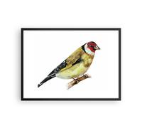 Affiche Poster 70x50cm Tableaux Image Photo Chardonneret Oiseau Aquarelle Art