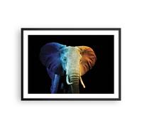 Affiche Poster 70x50cm Tableaux Image Photo Coloré Éléphant Photographie Art