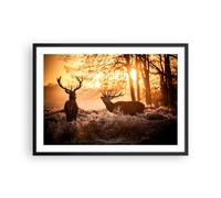 Affiche Poster 70x50cm Tableaux Image Photo Deer bruyère animaux Wall Art