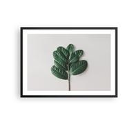 Affiche Poster 70x50cm Tableaux Image Photo Feuilles Plantes Botanique Wall Art