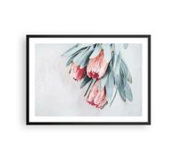 Affiche Poster 70x50cm Tableaux Image Photo Fleur Eucalyptus Australien Wall Art