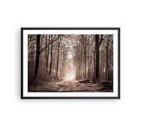 Affiche Poster 70x50cm Tableaux Image Photo forêt route arbre Wall Art