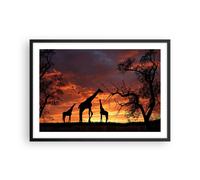 Affiche Poster 70x50cm Tableaux Image Photo Girafe Afrique Soleil Safari Art