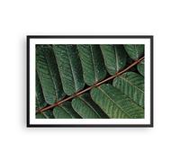 Affiche Poster 70x50cm Tableaux Image Photo Gouttes Eau Feuilles Wall Art