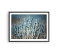 Affiche Poster 70x50cm Tableaux Image Photo Lavande Lame Fleur Wall Art