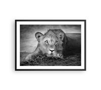 Affiche Poster 70x50cm Tableaux Image Photo Lion Asie Portrait Wall Art