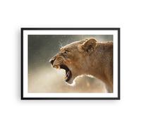 Affiche Poster 70x50cm Tableaux Image Photo Lion Lionne Crocs Wall Art
