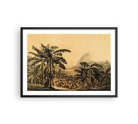 Affiche Poster 70x50cm Tableaux Image Photo Palmiers Forest Des Pluies Wall Art