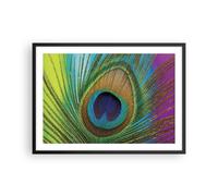 Affiche Poster 70x50cm Tableaux Image Photo Paons Plume Arc En Ciel Wall Art