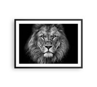 Affiche Poster 70x50cm Tableaux Image Photo Portrait Lion Noir Et Blanc Wall Art
