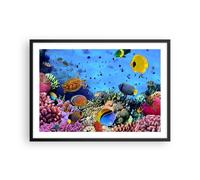 Affiche Poster 70x50cm Tableaux Image Photo Récif de corail Wall Art Decoration