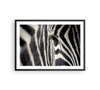 Affiche Poster 70x50cm Tableaux Image Photo Zebra rayures vie sauvage safari Art