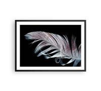 Affiche Poster 70x50cm Tableaux Image Plume Les Couleurs La Délicatesse Art