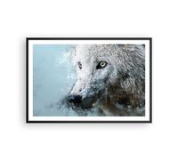 Affiche Poster 91x61cm Tableaux Image Photo Blanc Le Loup Image Wall Art