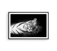 Affiche Poster 91x61cm Tableaux Image Photo Blanc Tigre Noir Et Blanc Wall Art