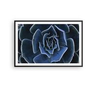 Affiche Poster 91x61cm Tableaux Image Photo Bleu Cactus Fleur Wall Art