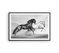 Affiche Poster 91x61cm Tableaux Image Photo Chevaux Animaux galop prairie Art
