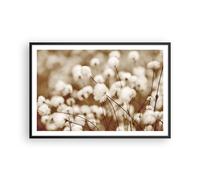 Affiche Poster 91x61cm Tableaux Image Photo Coton Bohème Laineux Wall Art