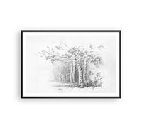 Affiche Poster 91x61cm Tableaux Image Photo Croquis Forêt Bouleau Wall Art