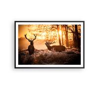 Affiche Poster 91x61cm Tableaux Image Photo Deer bruyère animaux Wall Art