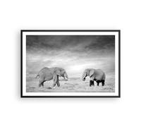Affiche Poster 91x61cm Tableaux Image Photo Éléphants Noir Et Blanc Safari Art