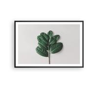 Affiche Poster 91x61cm Tableaux Image Photo Feuilles Plantes Botanique Wall Art
