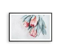 Affiche Poster 91x61cm Tableaux Image Photo Fleur Eucalyptus Australien Wall Art