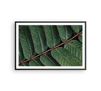 Affiche Poster 91x61cm Tableaux Image Photo Gouttes Eau Feuilles Wall Art