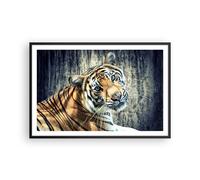 Affiche Poster 91x61cm Tableaux Image Photo Inde pierre tigre sauvage Wall Art
